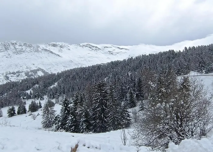 Appartement Cosy Dans Chalet Vue Montagne
