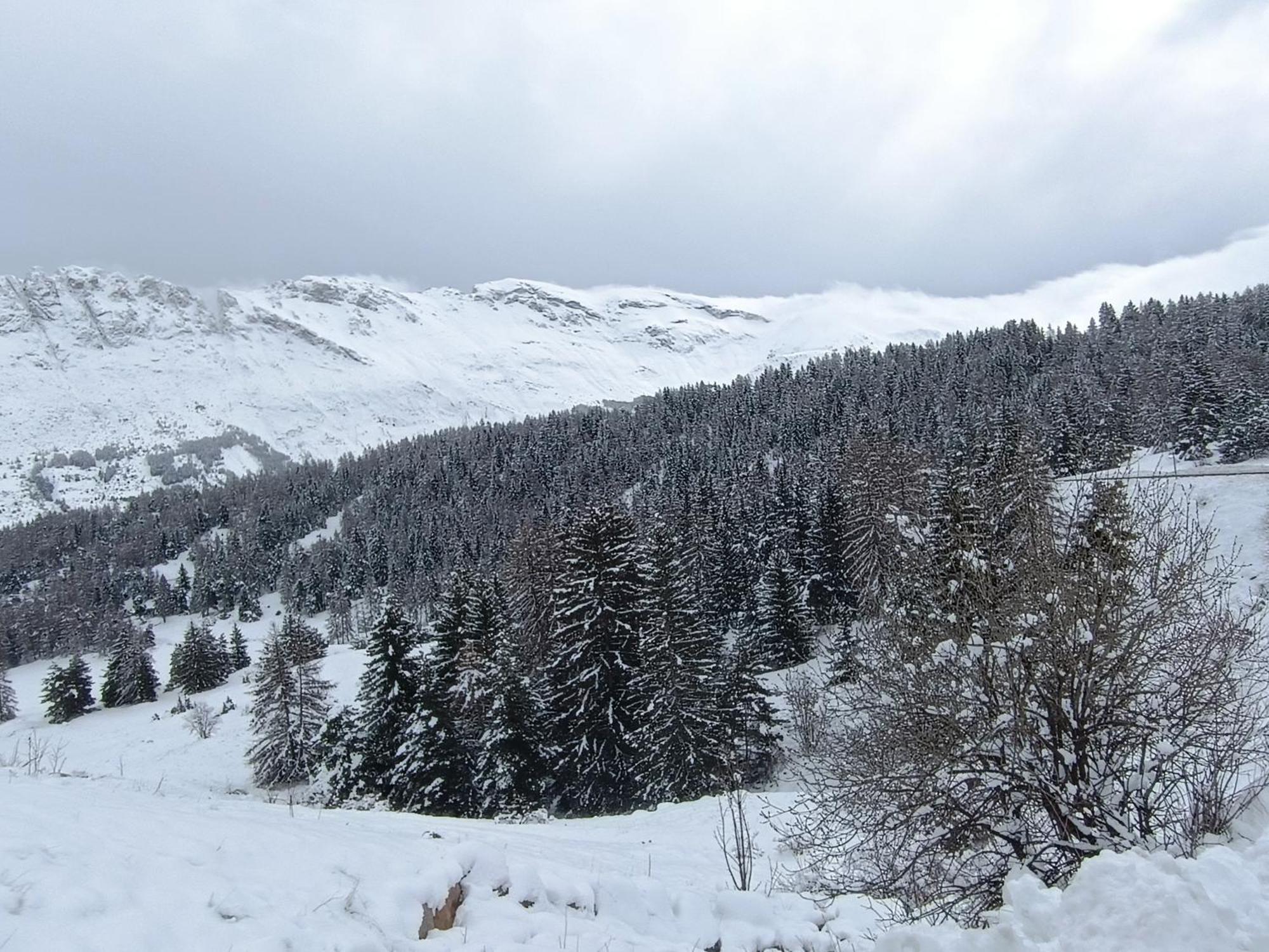 Cosy Dans Vue Montagne Apartment *